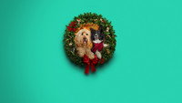 «Happy Howlidays (2024)» — обои к фильму #2