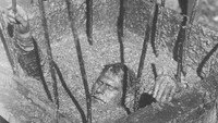«Дай нам этот день (1949)» — обои к фильму #1