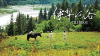 «Yili hegu (2017)» — обои к фильму #1