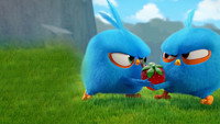 «Angry Birds. Пушистики (2017-2022)» — обои к мультсериалу #6