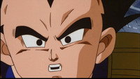 Dragon Ball Z : Broly - le super guerrier
