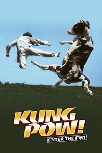 Постер фильма «Кунг По: Нарвись на кулак (2002)» — (12 из 30)