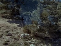 S07E05 - (1968)