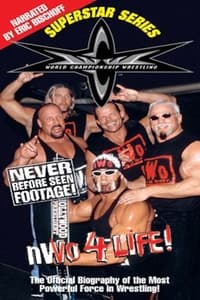 WCW/NWO SuperStars series - nWo 4 Life