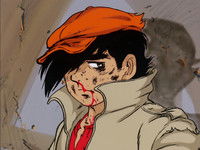 The Live in the Square Jungle