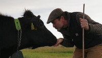It sprouts and grows