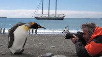 «Mission Antarctique (2007)» — обои к фильму #1