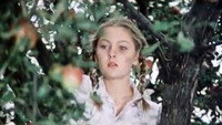 «Прелюдия судьбы (1984)» — обои к фильму #3