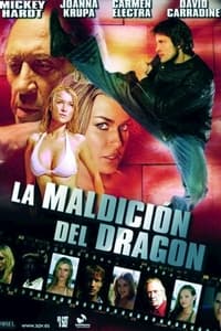 Poster de Max Havoc: Curse Of The Dragon