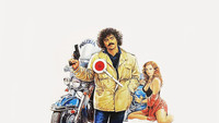 «Поймай меня, если сможешь (1982)» — обои к фильму #1