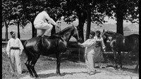 «Вольтижировка (1896)» — обои к фильму #1