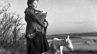 Обои к фильму «Под фригийской звездой (1954)» — (13 из 17)