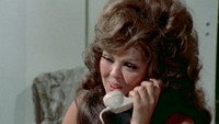 «The Young Secretaries (1974)» — обои к фильму #4