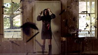 «The Birds of Anger (2011)» — обои к фильму #4