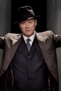 Постер сериала «Чёрный список (2013-2023)» — (3 из 66)