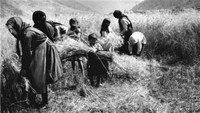 «Буба (1930)» — обои к фильму #2