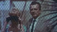 «Великолепный Тони Каррера (1968)» — обои к фильму #1