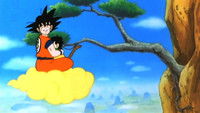 Dragon Ball Z
