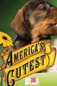 Постер сериала «Самые милые питомцы Америки (2009-2014)» — (1 из 2)