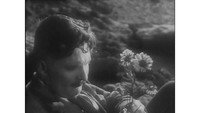 «Привидение, которое не возвращается (1930)» — обои к фильму #1