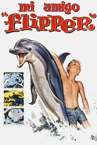 Poster de El niño y el delfín