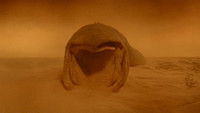 Dune