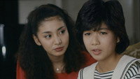 «Stewardess monogatari (1983)» — обои к сериалу #1