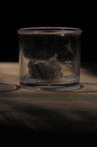 Dust Studies (2010) poster