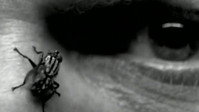 «Nine Inch Nails: Broken (1993)» — обои к фильму #6
