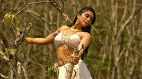 «నక్షత్రం (2017)» — обои к фильму #5