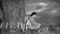 «Повесть о плавучей траве (1934)» — обои к фильму #3