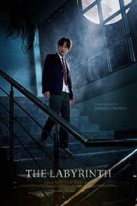 Download The Labyrinth (2021) WeB-DL (Korean With Esubs) 480p [300MB] | 720p [650MB]