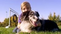 Können Hunde turnen?