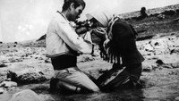 «Kizilirmak-Karakoyun (1967)» — обои к фильму #1