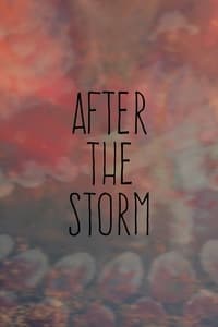 After the Storm - 2017