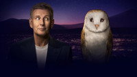 «The Late Late Show (1962)» — обои к сериалу #2
