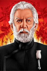 Постер фильма «Голодные игры: И вспыхнет пламя (2013)» — (7 из 99)