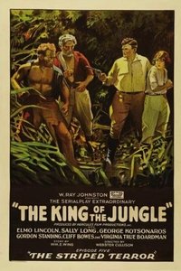Poster de The King of the Jungle