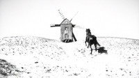 «Родник для жаждущих (1965)» — обои к фильму #7