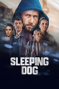 Cover of the Season 1 of Sleeping Dog