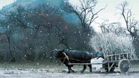 «Китайская история (2005)» — обои к фильму #3