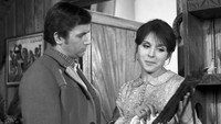 «Кошачьи следы (1971)» — обои к фильму #7
