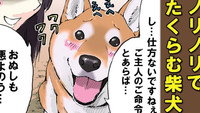 Surprise! / Setsubun / Fetch: Shibas