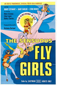 Постер фильма «Sensuous Flygirls (1976)» — (2 из 2)