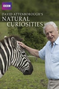 tv show poster David+Attenborough%27s+Natural+Curiosities 2013