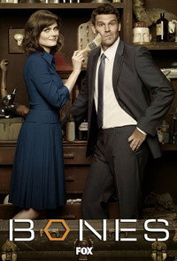 Постер сериала «Кости (2005 - 2017)» — (63 из 181)