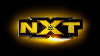 Обои к сериалу «WWE NXT (2010)» — (25 из 58)