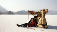 «Когда ветер поднимает песок (2006)» — обои к фильму #2