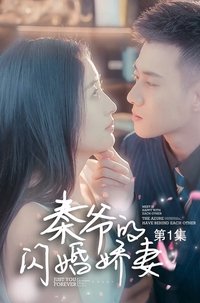 秦爷的闪婚娇妻
