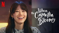 «Когда цветёт камелия (2019)» — обои к сериалу #10